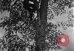 Standbild schwerfälligen Kentucky United States USA, 1921, aus Sekunde 35 historischem Filmmaterial Videoclip 65675049999