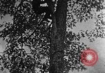 Standbild schwerfälligen Kentucky United States USA, 1921, aus Sekunde 36 historischem Filmmaterial Videoclip 65675049999