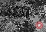Standbild schwerfälligen Kentucky United States USA, 1921, aus Sekunde 37 historischem Filmmaterial Videoclip 65675049999