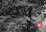 Standbild schwerfälligen Kentucky United States USA, 1921, aus Sekunde 38 historischem Filmmaterial Videoclip 65675049999