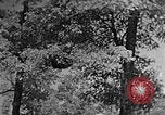 Standbild schwerfälligen Kentucky United States USA, 1921, aus Sekunde 39 historischem Filmmaterial Videoclip 65675049999