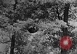 Standbild schwerfälligen Kentucky United States USA, 1921, aus Sekunde 40 historischem Filmmaterial Videoclip 65675049999