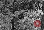 Standbild schwerfälligen Kentucky United States USA, 1921, aus Sekunde 41 historischem Filmmaterial Videoclip 65675049999