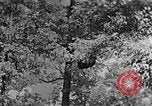 Standbild schwerfälligen Kentucky United States USA, 1921, aus Sekunde 42 historischem Filmmaterial Videoclip 65675049999