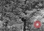 Standbild schwerfälligen Kentucky United States USA, 1921, aus Sekunde 43 historischem Filmmaterial Videoclip 65675049999