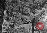 Standbild schwerfälligen Kentucky United States USA, 1921, aus Sekunde 44 historischem Filmmaterial Videoclip 65675049999