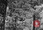 Standbild schwerfälligen Kentucky United States USA, 1921, aus Sekunde 45 historischem Filmmaterial Videoclip 65675049999