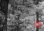 Standbild schwerfälligen Kentucky United States USA, 1921, aus Sekunde 46 historischem Filmmaterial Videoclip 65675049999