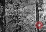 Standbild schwerfälligen Kentucky United States USA, 1921, aus Sekunde 47 historischem Filmmaterial Videoclip 65675049999