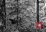 Standbild schwerfälligen Kentucky United States USA, 1921, aus Sekunde 48 historischem Filmmaterial Videoclip 65675049999
