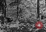 Standbild schwerfälligen Kentucky United States USA, 1921, aus Sekunde 49 historischem Filmmaterial Videoclip 65675049999