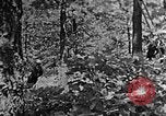 Standbild schwerfälligen Kentucky United States USA, 1921, aus Sekunde 50 historischem Filmmaterial Videoclip 65675049999