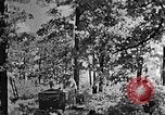 Standbild schwerfälligen Kentucky United States USA, 1921, aus Sekunde 56 historischem Filmmaterial Videoclip 65675049999