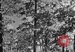 Standbild schwerfälligen Kentucky United States USA, 1921, aus Sekunde 57 historischem Filmmaterial Videoclip 65675049999