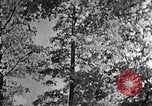 Standbild schwerfälligen Kentucky United States USA, 1921, aus Sekunde 58 historischem Filmmaterial Videoclip 65675049999