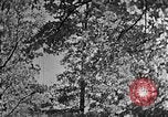 Standbild schwerfälligen Kentucky United States USA, 1921, aus Sekunde 59 historischem Filmmaterial Videoclip 65675049999