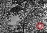 Standbild schwerfälligen Kentucky United States USA, 1921, aus Sekunde 60 historischem Filmmaterial Videoclip 65675049999