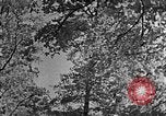 Standbild schwerfälligen Kentucky United States USA, 1921, aus Sekunde 61 historischem Filmmaterial Videoclip 65675049999