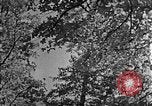 Standbild schwerfälligen Kentucky United States USA, 1921, aus Sekunde 62 historischem Filmmaterial Videoclip 65675049999