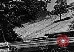 Image of lumber yard Kentucky United States USA, 1921, second 9 stock footage video 65675050000