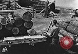 Image of lumber yard Kentucky United States USA, 1921, second 13 stock footage video 65675050000