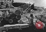 Image of lumber yard Kentucky United States USA, 1921, second 15 stock footage video 65675050000