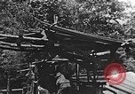 Image of lumber yard Kentucky United States USA, 1921, second 19 stock footage video 65675050000