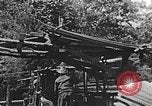 Image of lumber yard Kentucky United States USA, 1921, second 20 stock footage video 65675050000