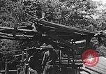Image of lumber yard Kentucky United States USA, 1921, second 21 stock footage video 65675050000