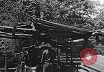 Image of lumber yard Kentucky United States USA, 1921, second 24 stock footage video 65675050000