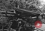 Image of lumber yard Kentucky United States USA, 1921, second 25 stock footage video 65675050000