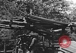 Image of lumber yard Kentucky United States USA, 1921, second 27 stock footage video 65675050000