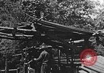 Image of lumber yard Kentucky United States USA, 1921, second 28 stock footage video 65675050000
