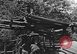 Image of lumber yard Kentucky United States USA, 1921, second 29 stock footage video 65675050000