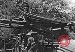 Image of lumber yard Kentucky United States USA, 1921, second 31 stock footage video 65675050000