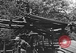 Image of lumber yard Kentucky United States USA, 1921, second 33 stock footage video 65675050000