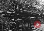 Image of lumber yard Kentucky United States USA, 1921, second 35 stock footage video 65675050000