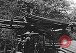 Image of lumber yard Kentucky United States USA, 1921, second 36 stock footage video 65675050000