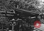 Image of lumber yard Kentucky United States USA, 1921, second 37 stock footage video 65675050000