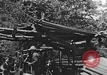Image of lumber yard Kentucky United States USA, 1921, second 39 stock footage video 65675050000