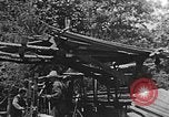Image of lumber yard Kentucky United States USA, 1921, second 40 stock footage video 65675050000