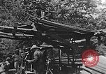 Image of lumber yard Kentucky United States USA, 1921, second 41 stock footage video 65675050000