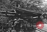 Image of lumber yard Kentucky United States USA, 1921, second 42 stock footage video 65675050000