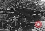 Image of lumber yard Kentucky United States USA, 1921, second 43 stock footage video 65675050000