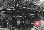Image of lumber yard Kentucky United States USA, 1921, second 44 stock footage video 65675050000