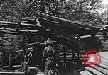 Image of lumber yard Kentucky United States USA, 1921, second 48 stock footage video 65675050000