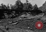 Standbild Bauernhof der Familie Kentucky United States USA, 1921, aus Sekunde 44 historischem Filmmaterial Videoclip 65675050010