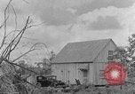 Immagine di Agriturismo Kentucky United States USA, 1940, secondo 4 filmato di repertorio 65675050013