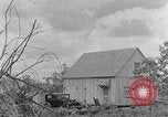 Immagine di Agriturismo Kentucky United States USA, 1940, secondo 5 filmato di repertorio 65675050013