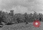 Immagine di Agriturismo Kentucky United States USA, 1940, secondo 24 filmato di repertorio 65675050013